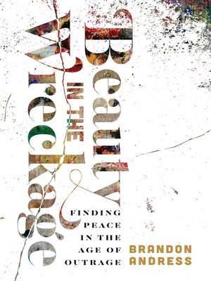 cover image of Beauty in the Wreckage